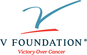 VFoundation_Logo.jpeg